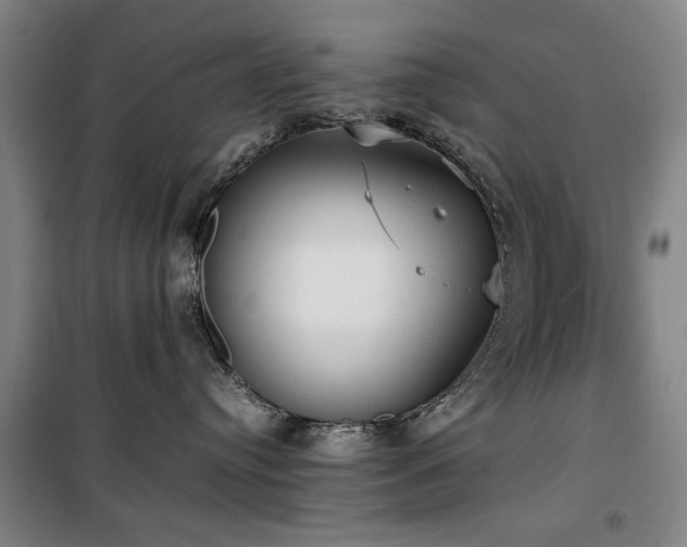 X0000100190384200805301253