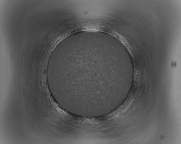 X0000100190385200805301252
