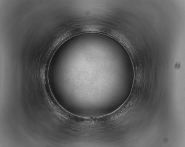 X0000100190386200805301252