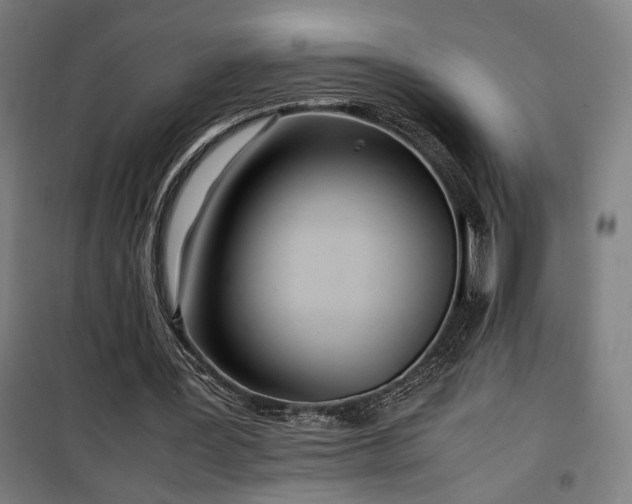 X0000100190387200805301252