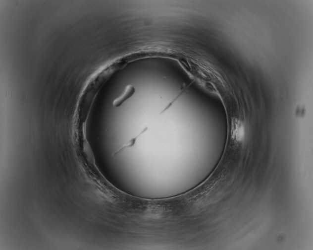 X0000100190388200805301252