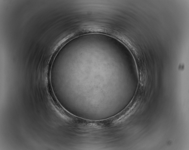 X0000100190390200805301252
