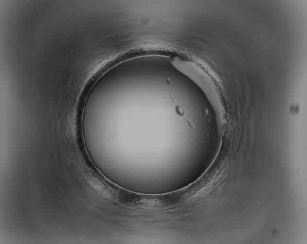X0000100190391200805301252