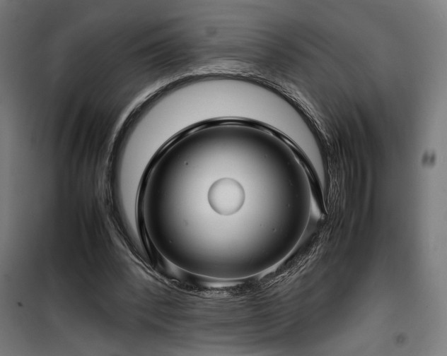 X0000100190392200805301252