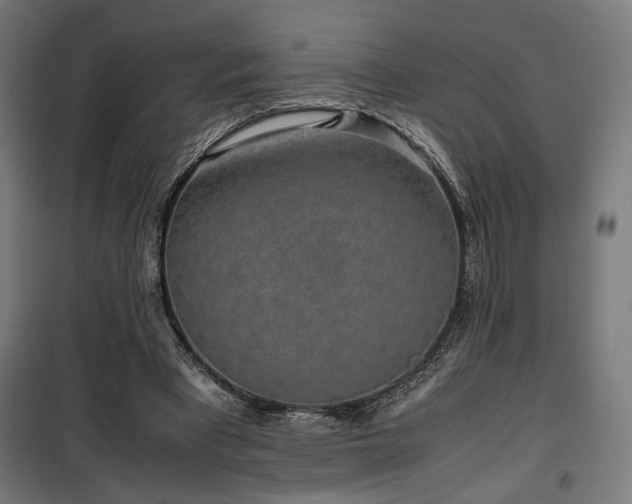 X0000100190393200805301252