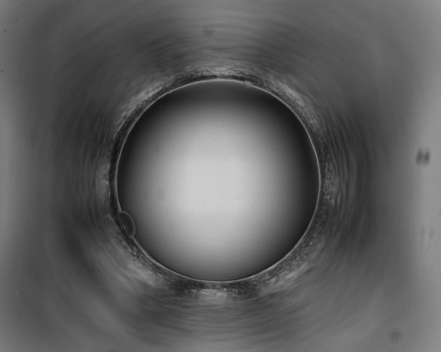 X0000100190394200805301252