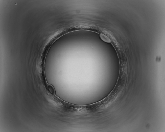 X0000100190395200805301252