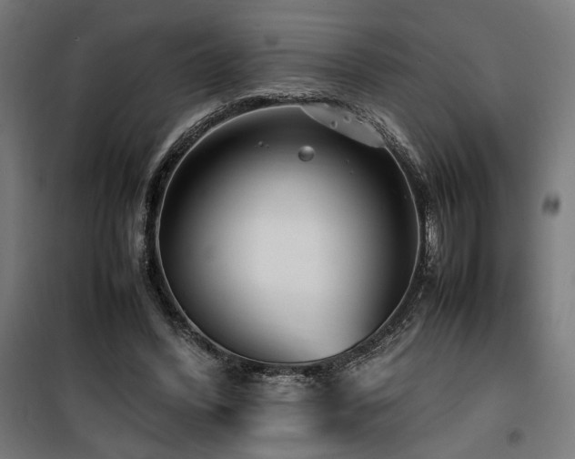 X0000100190396200805301252
