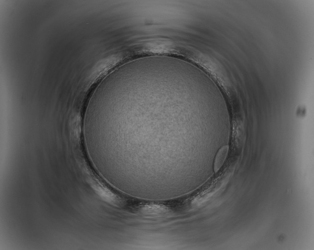 X0000100190397200805301252