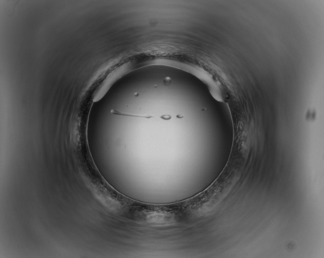 X0000100190400200805301252
