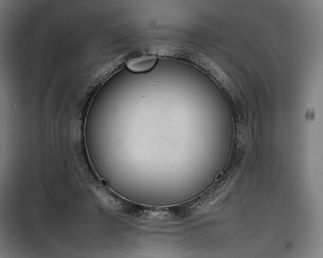 X0000100190401200805301252