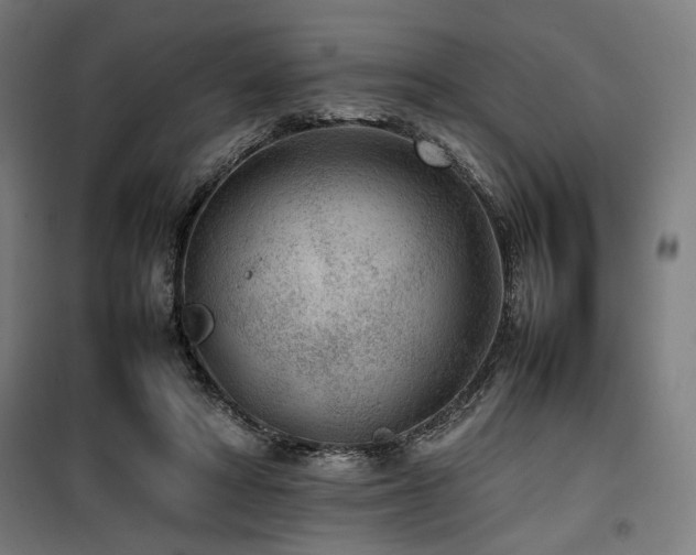 X0000100190402200805301252