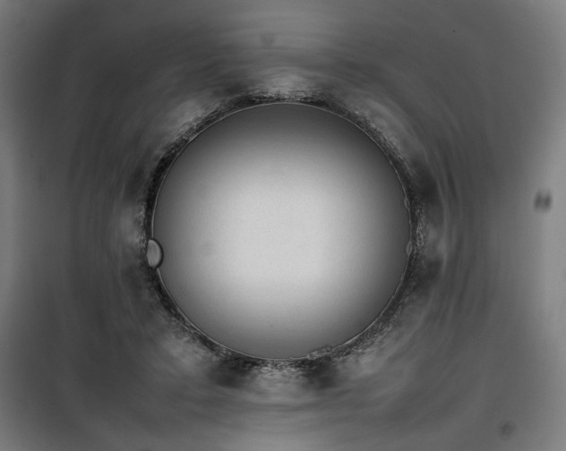 X0000100190403200805301252