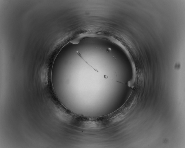 X0000100190404200805301252