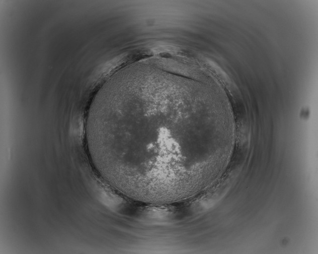 X0000100190405200805301252