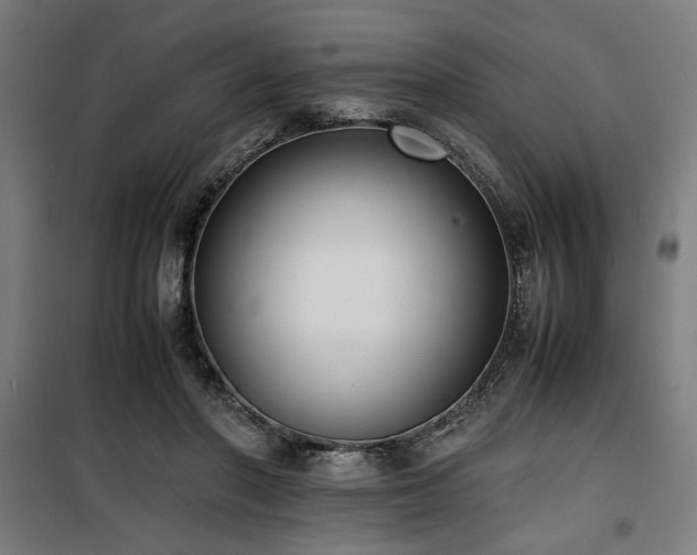 X0000100190406200805301252