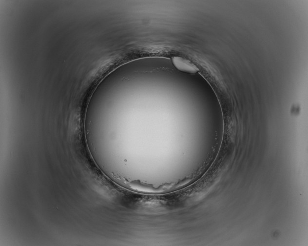 X0000100190407200805301252