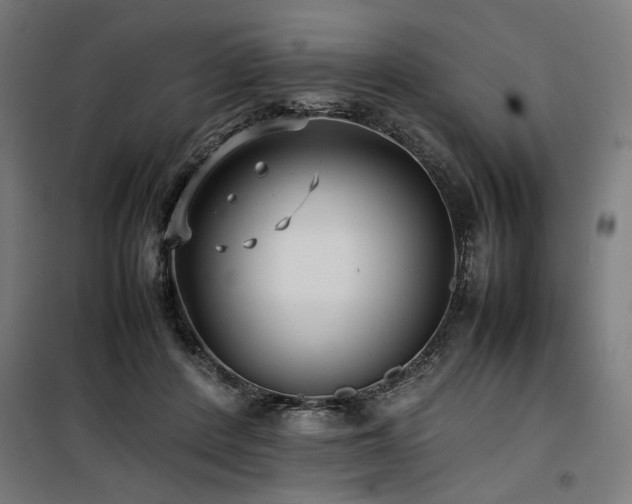 X0000100190408200805301252