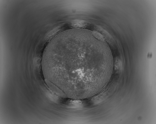 X0000100190409200805301252