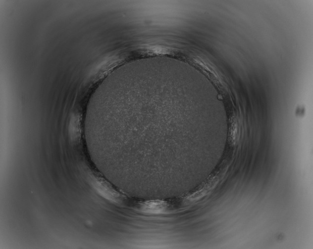 X0000100190410200805301252