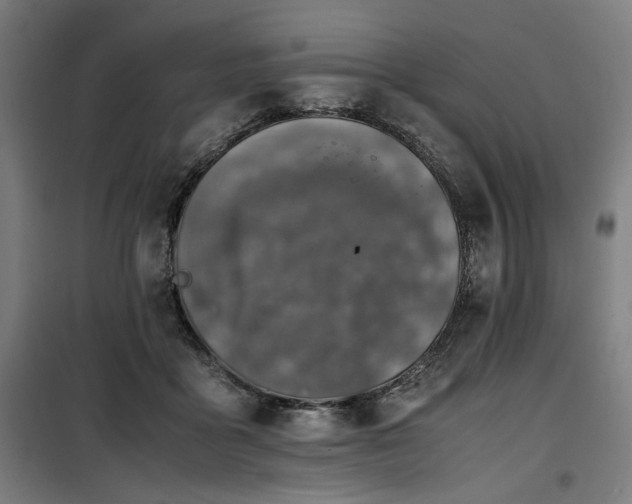 X0000100190411200805301252