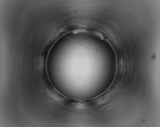 X0000100190412200805301252