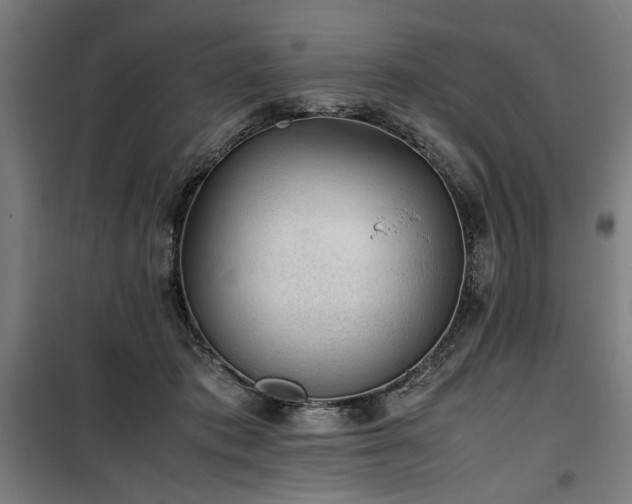 X0000100190413200805301252