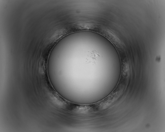 X0000100190414200805301252