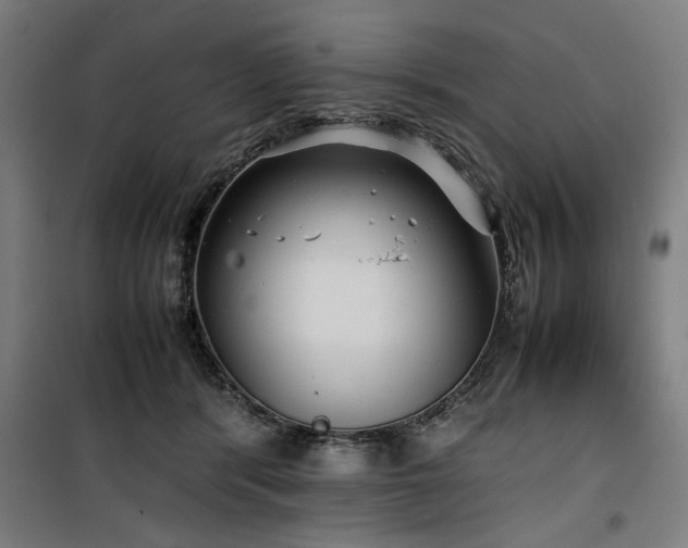 X0000100190416200805301252