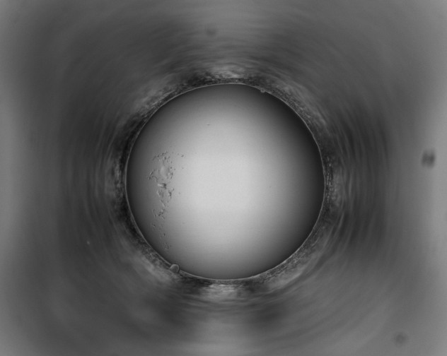 X0000100190418200805301252