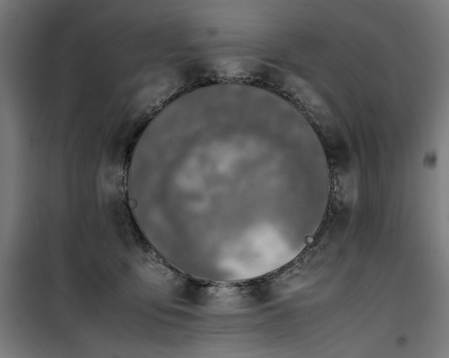 X0000100190419200805301252