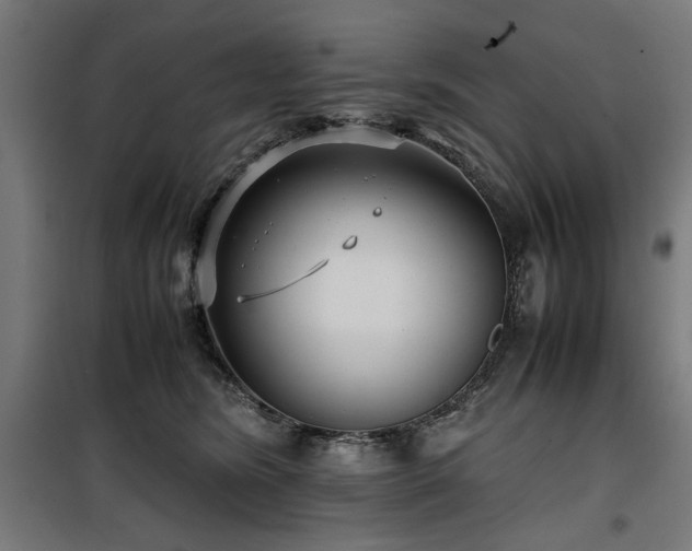 X0000100190420200805301252