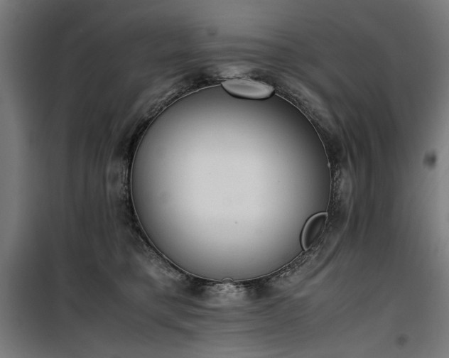 X0000100190421200805301252