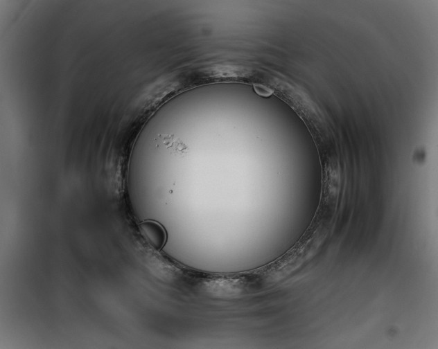 X0000100190422200805301252