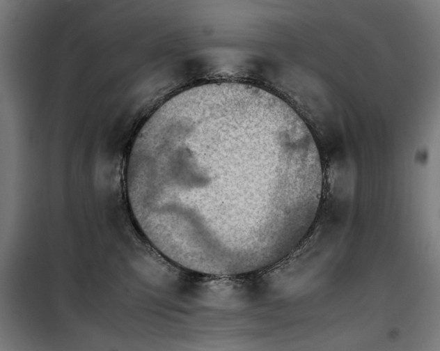 X0000100190423200805301252