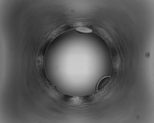 X0000100190425200805301252