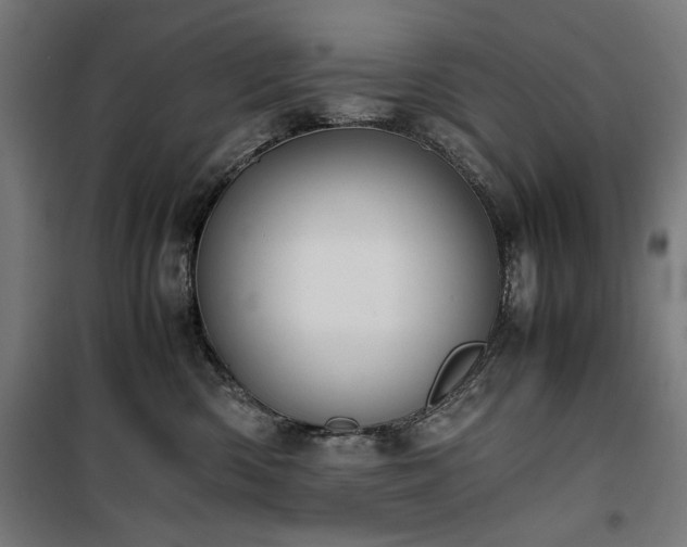 X0000100190426200805301251