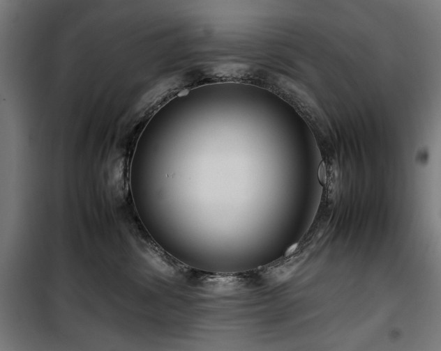 X0000100190428200805301251