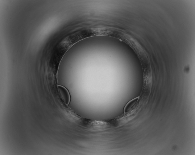 X0000100190429200805301251