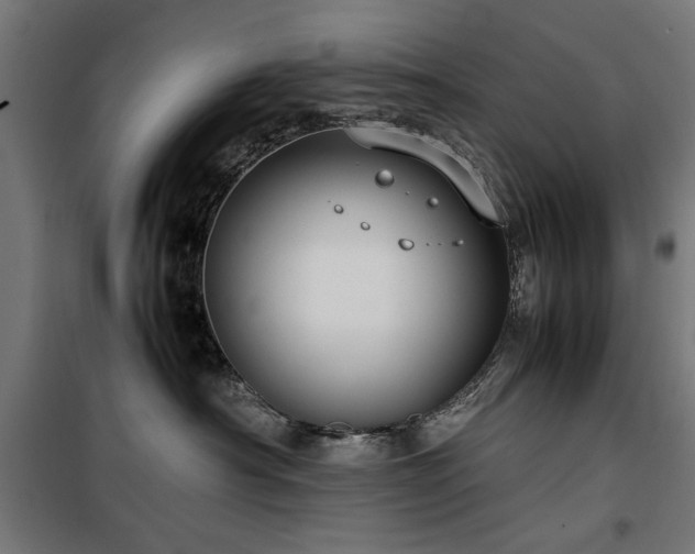 X0000100190430200805301251
