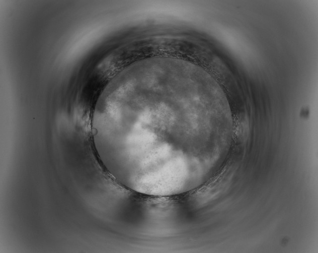 X0000100190431200805301251