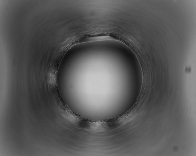 X0000100190432200805301251