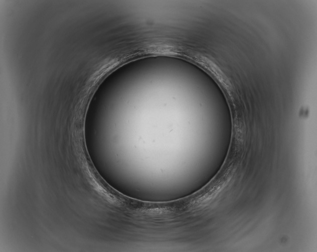 X0000100190433200805301251