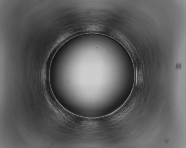 X0000100190435200805301251