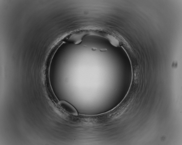 X0000100190436200805301251