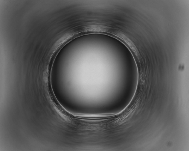 X0000100190437200805301251