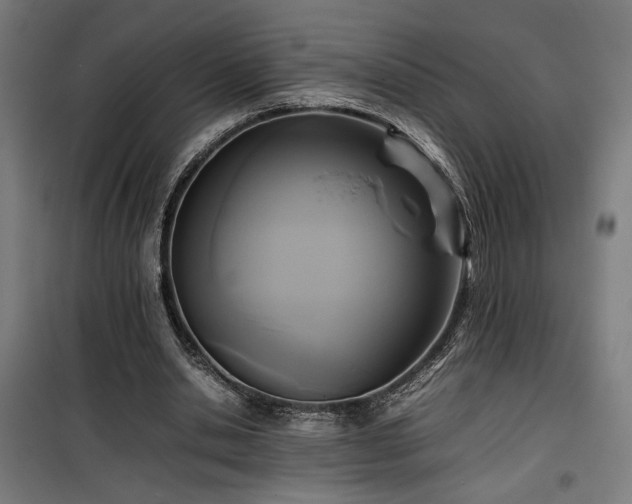 X0000100190438200805301251
