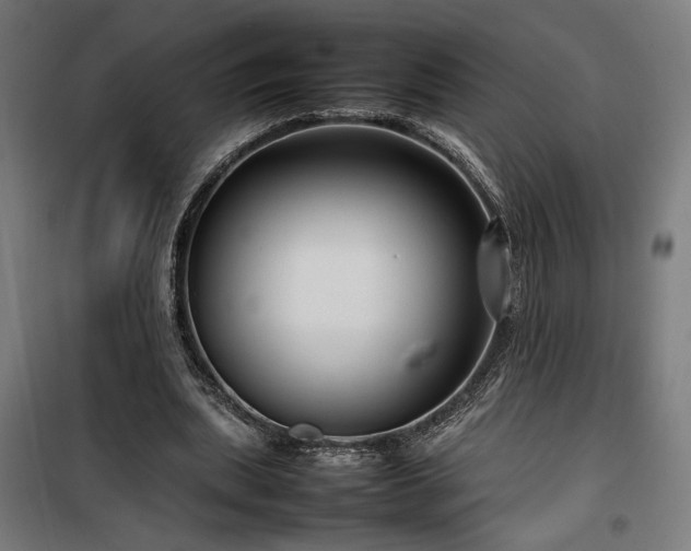 X0000100190439200805301251