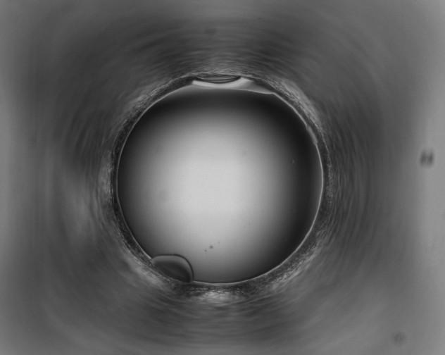 X0000100190441200805301251