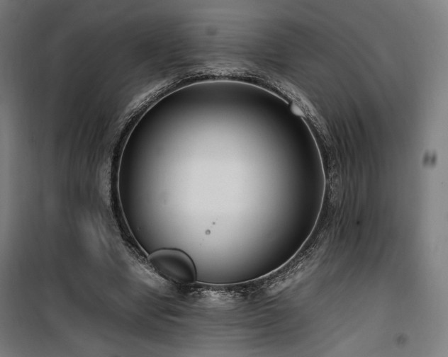 X0000100190442200805301251